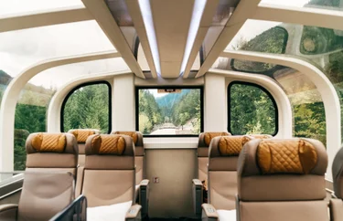 Empty seats in a GoldLeaf Rocky Mountaineer coach with view of trees through the windows