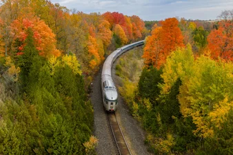 VIA Rail's Canadian Train travels through Ontario with Autumn's fall colours on display.