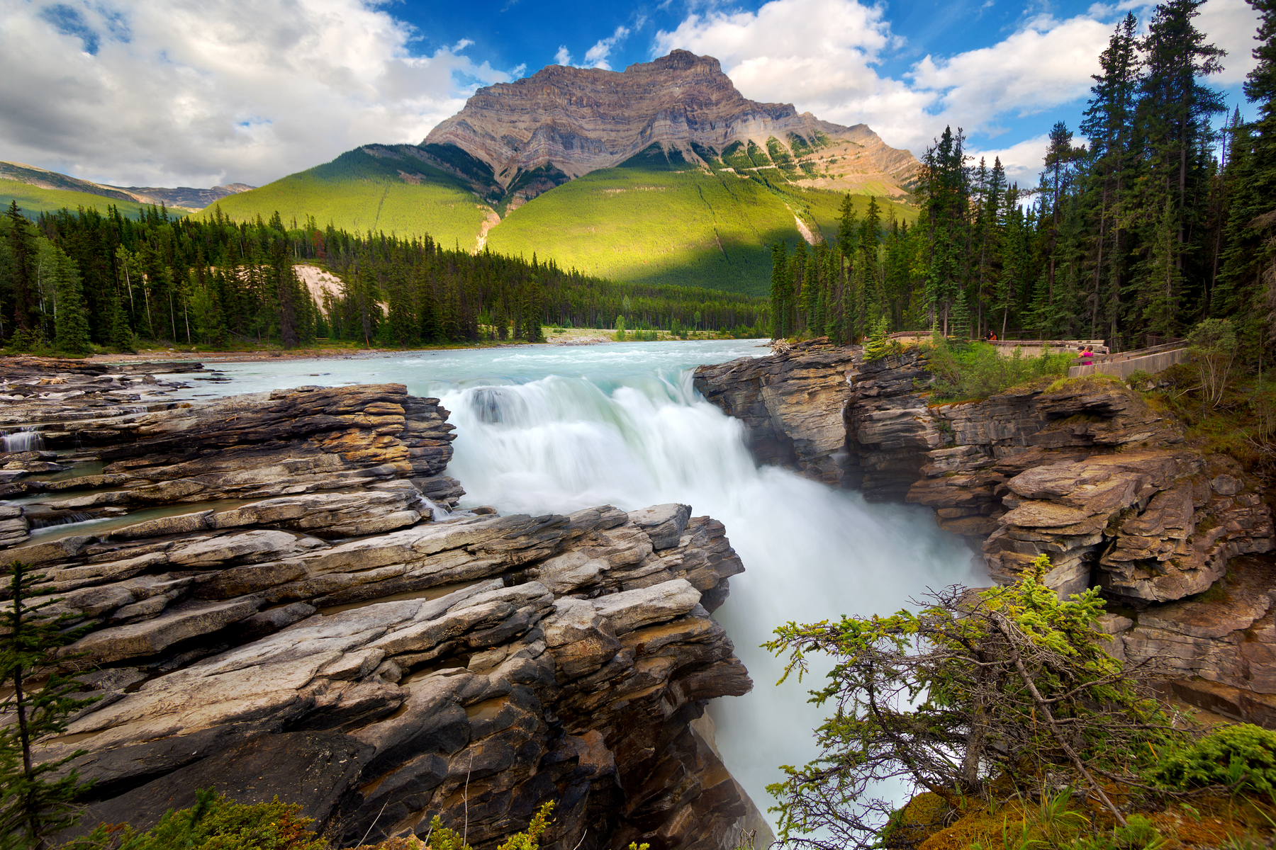 Jasper National Park
