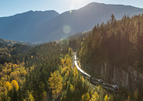 Rocky Mountaineer coach en route traversing a vast forest