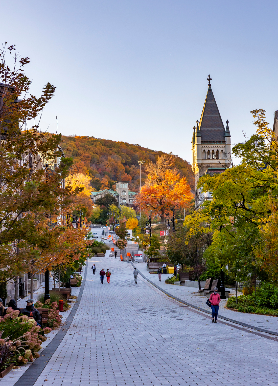 View of street with fall foliage and heritage buildings in Montreal
