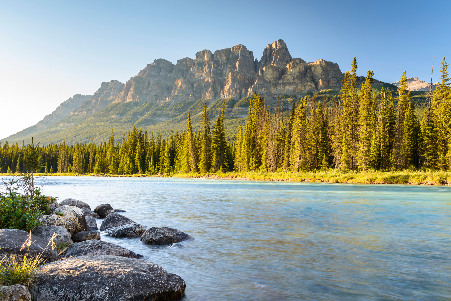 View of rugged mountain with tall trees and coursing river in front of it