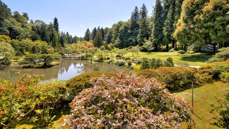 Sesttle Spring Spring in Seattle: 8 Best Things To Do in Seattle in Spring