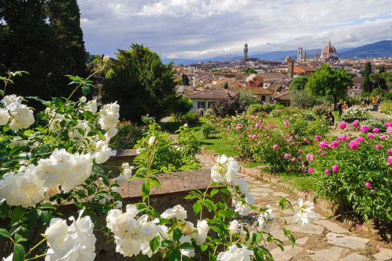 roseto fuori Firenze
