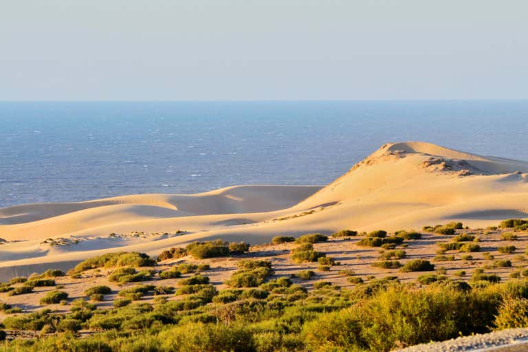 Enormes dunas de arena y algo de vegetación frente al océano Atlántico en Agadir.