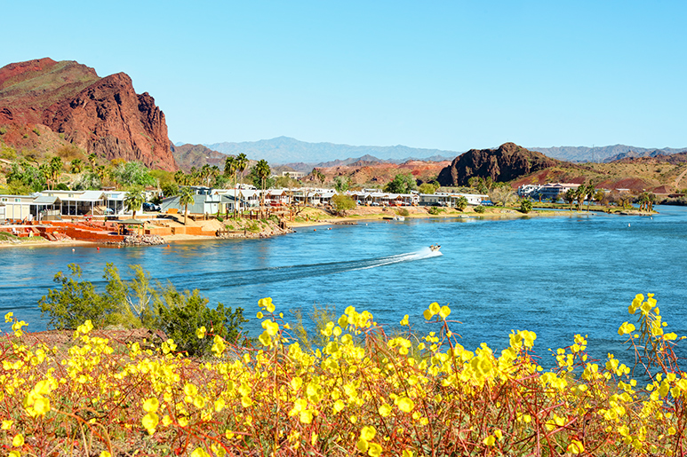 9 Ways to Enjoy Spring in Arizona