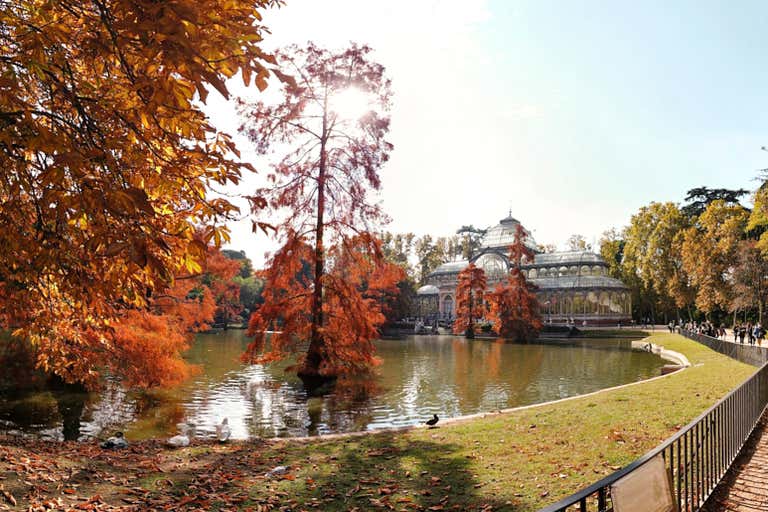 Uma vista panorâmica do Palácio de Cristal no Parque do Retiro, em Madri, durante o outono, com folhagens coloridas.