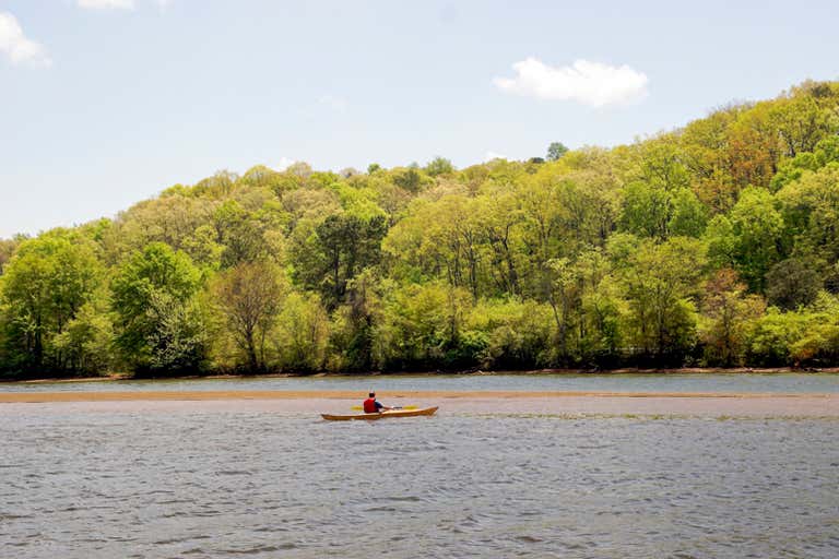 Une personne fait du kayak sur la rivière Chattahoochee avec des arbres verdoyants en arrière-plan.