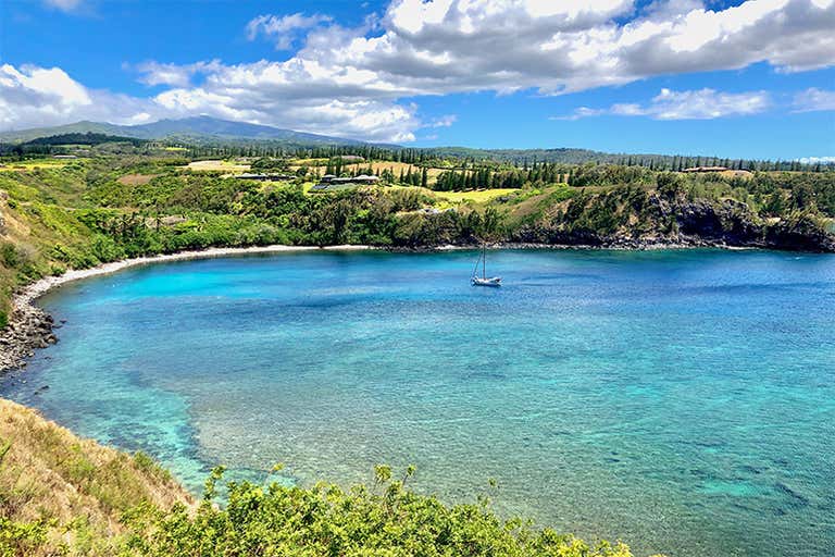 maui-4564227 - LOWRES.jpg