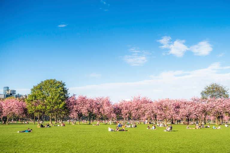iStock-1904213969-LOWRES.jpg