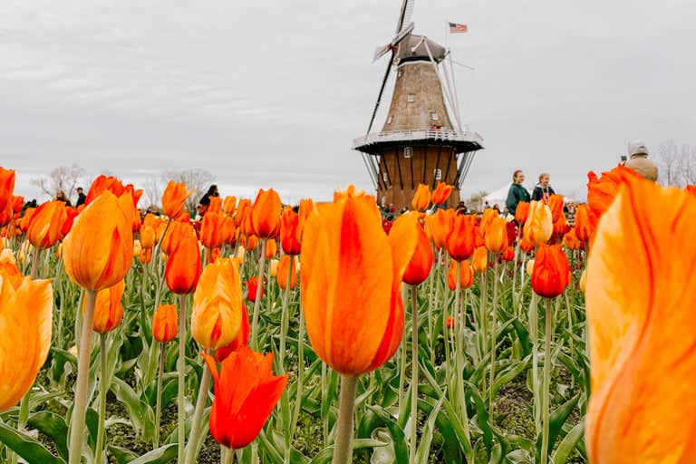 Michigan In May Spring in Michigan: 9 Best Places to Visit