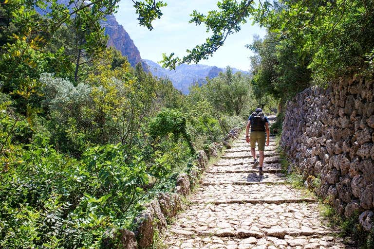 A hiker walks along a stone path surrounded by lush greenery in Mallorca.
