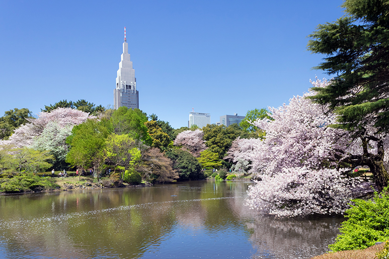 Tokyo in March: Everything You Need To Know