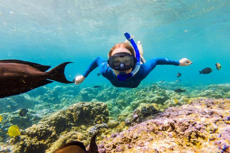 Snorkeler exploring vibrant coral reefs with tropical fish in crystal-clear waters of Thailand's marine paradise