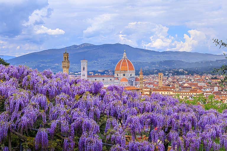 Florence Cathedral view, Italy