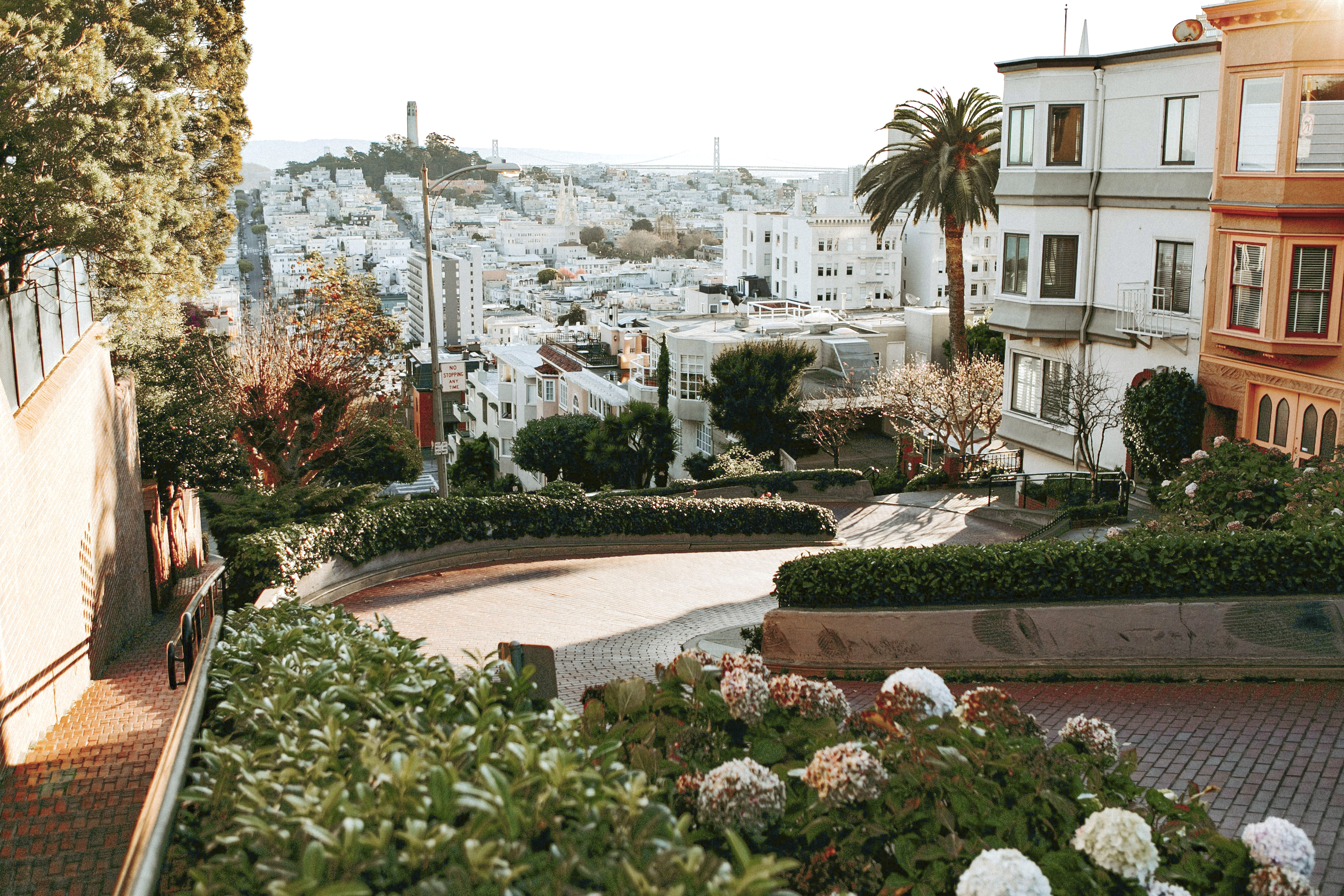 The Ultimate Guide to Your First Time in San Francisco