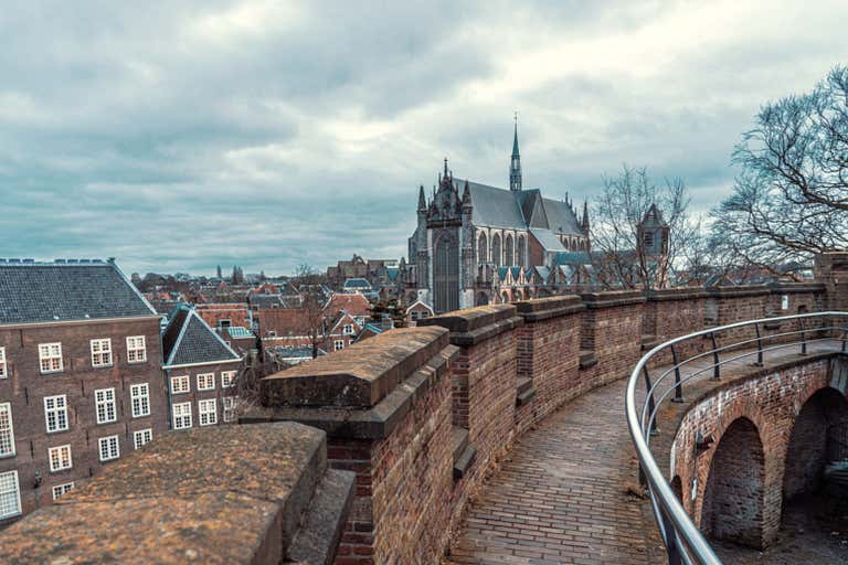 ruben-hanssen-ZXUnL-s5aWE-unsplash-EDITED.jpg