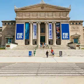 芝加哥15家不容错过的博物馆