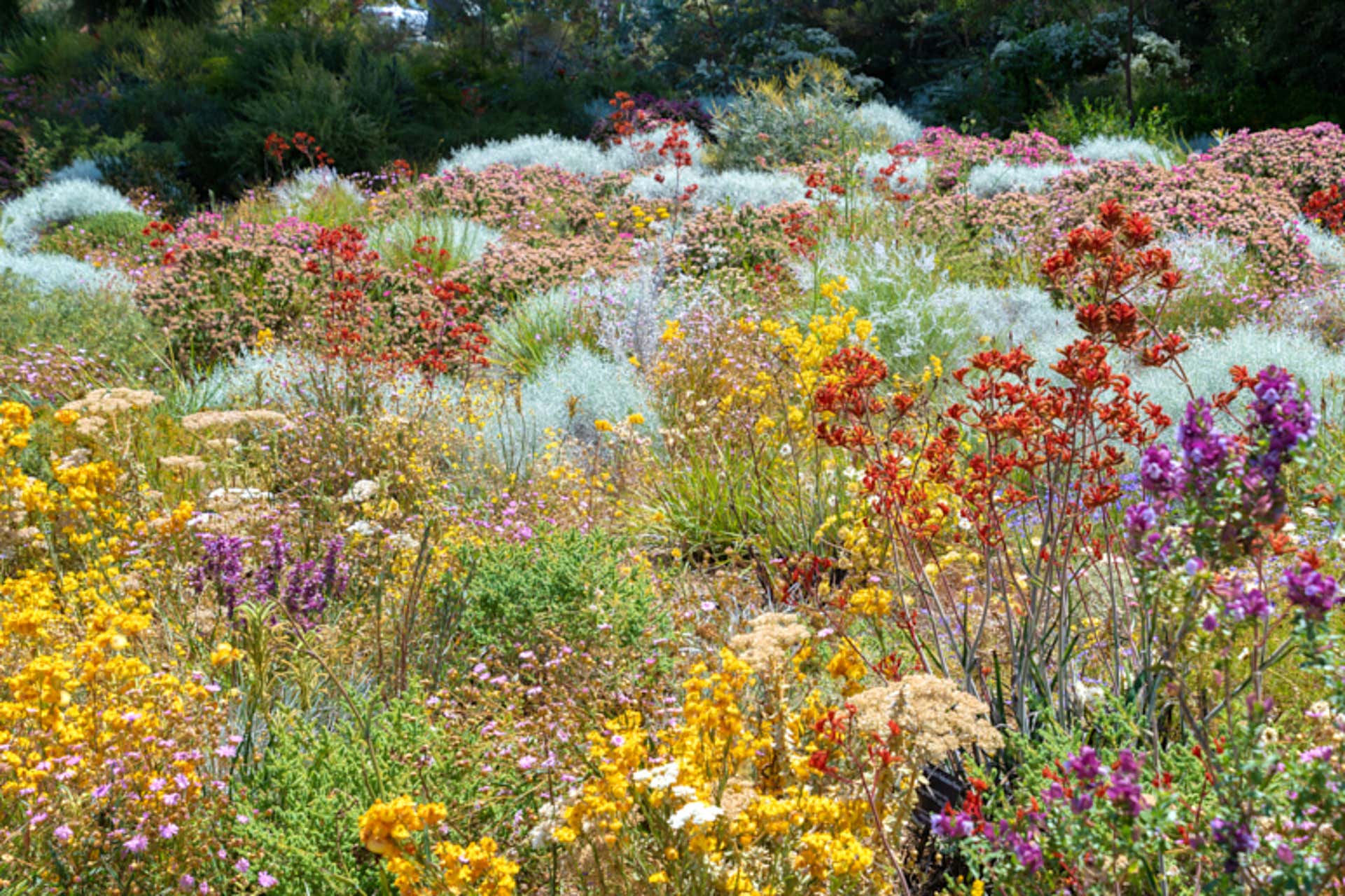Spring In Perth Spring Destinations: 7 Scenic Places to Travel in Spring