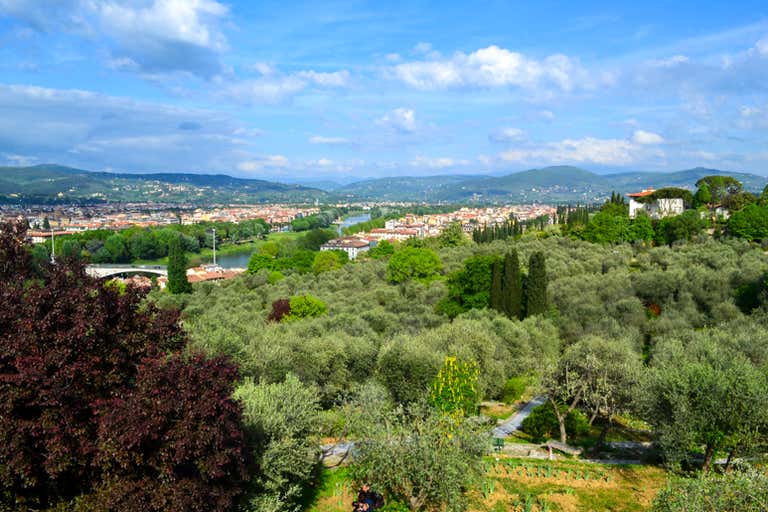 A scenic view of Florence, Italy, with lush greenery and the city in the background under a blue sky.