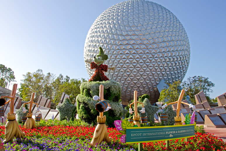 Spring in Florida: Everything You Need to Know