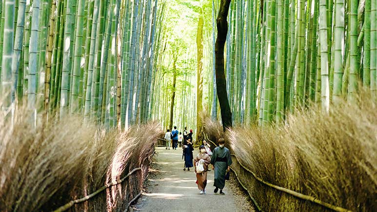 8 Best Things To Do in Kyoto in Spring