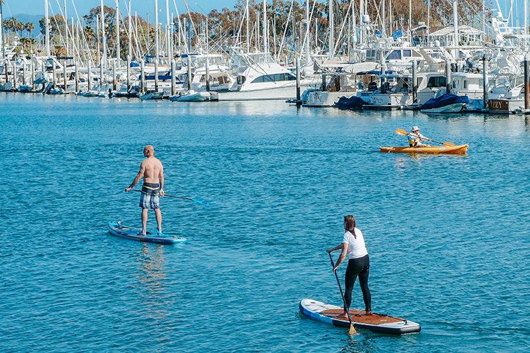 Paddleboarders and a kayaker in Thunder Bay marina