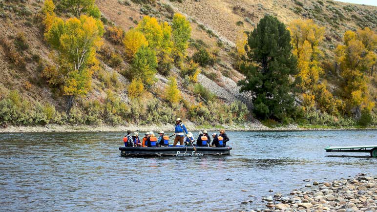 River Rafting Fall Fall in Wyoming: Everything To See and Do