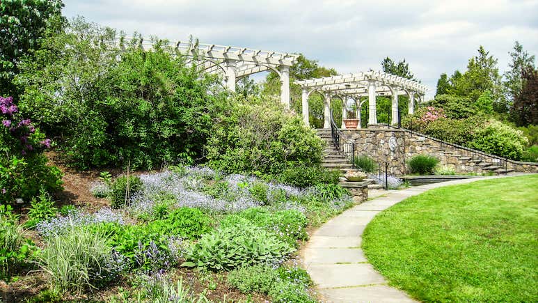Springy Ma Spring in Massachusetts: The Best Things To See and Do