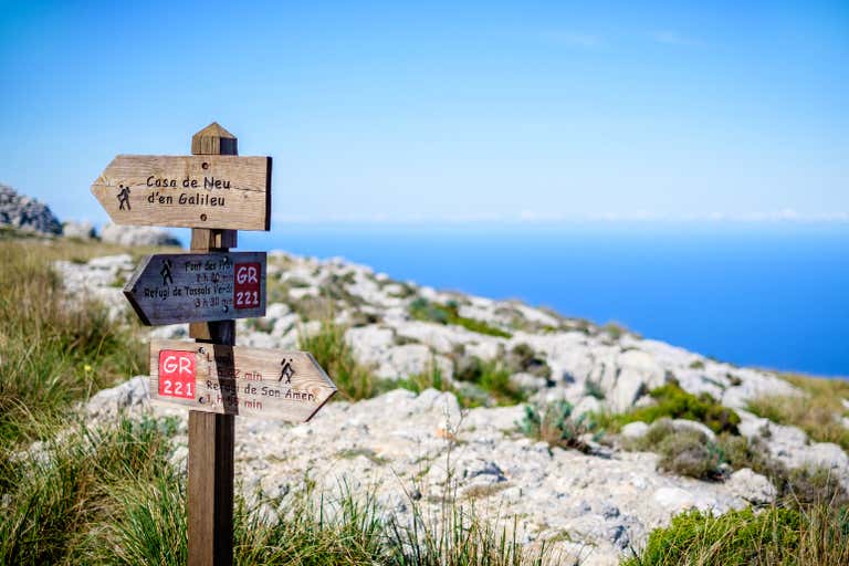 Wooden hiking trail signs pointing in different directions with a sea view.