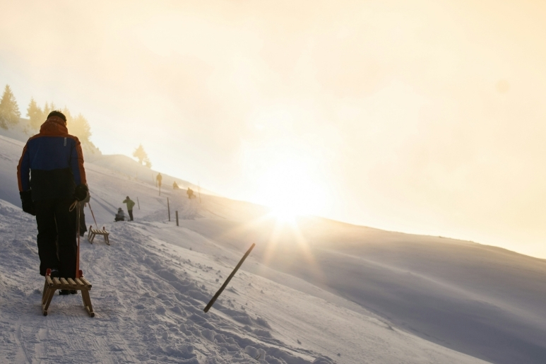 The Ultimate Guide to Tobogganing in Switzerland