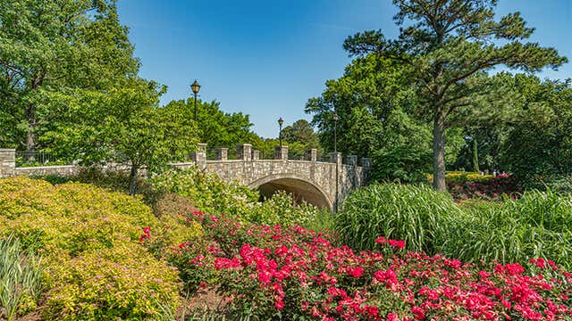 Spring in Virginia: 8 Top Things To Do and See
