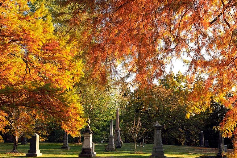 Fall Leaves In Ohio The Best Things To Do in Fall in Ohio