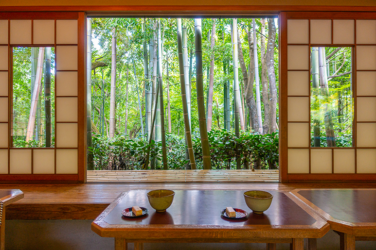 The Best Tea Ceremonies in Japan