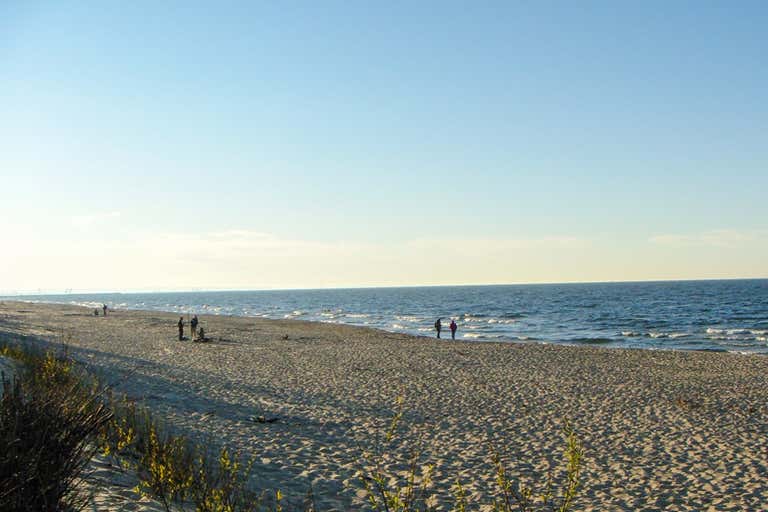Piaszczysta plaża na Wyspie Sobieszewskiej nad Morzem Bałtyckim, z odwiedzającymi cieszącymi się spokojną atmosferą.