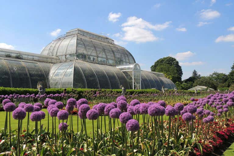 The Palm House at Kew Gardens surrounded by blooming purple flowers.
