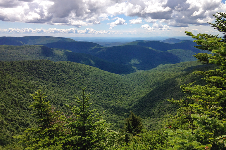 Hiking in the Catskills: 6 Spectacular Mountain Trails