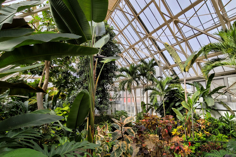 Spring in Ohio: The 9 Best Things To Do in Ohio in Spring
