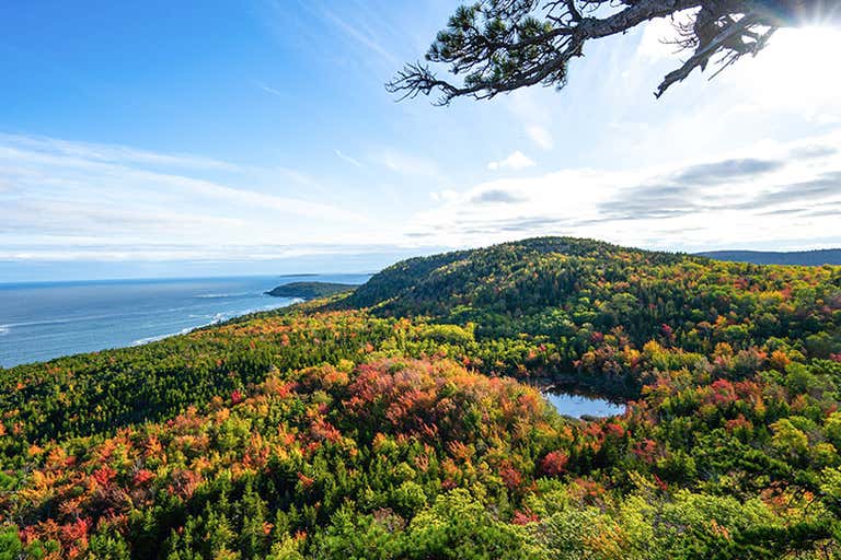 acadia-national-park-LOWRES.jpg