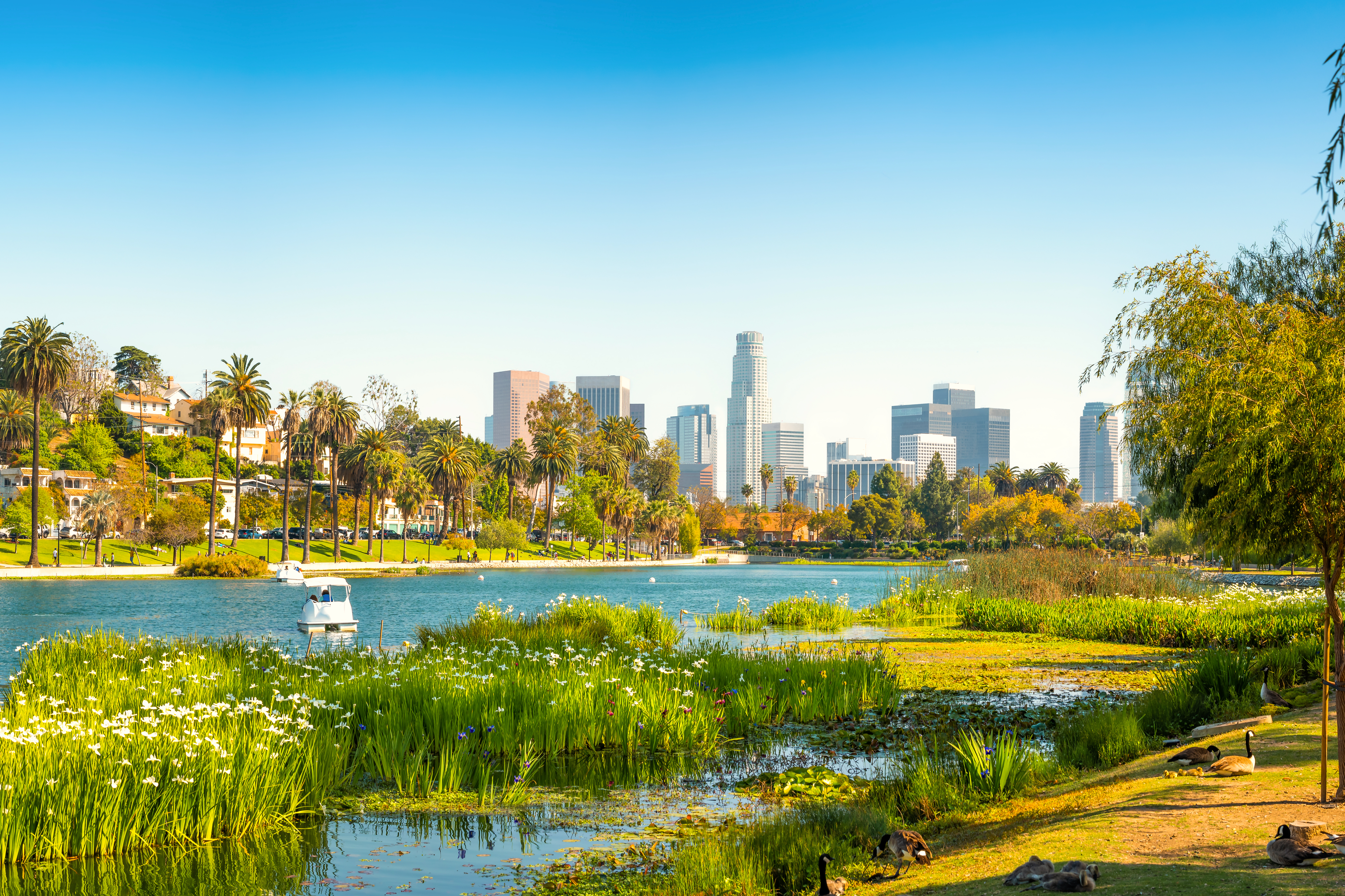 One Day in LA: A perfect 24-Hour Los Angeles Itinerary