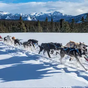 Warm up or chill out: 10 best winter activities in the US