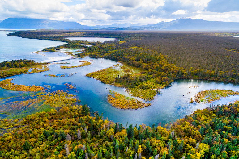 Spring in Alaska: What To See and Do