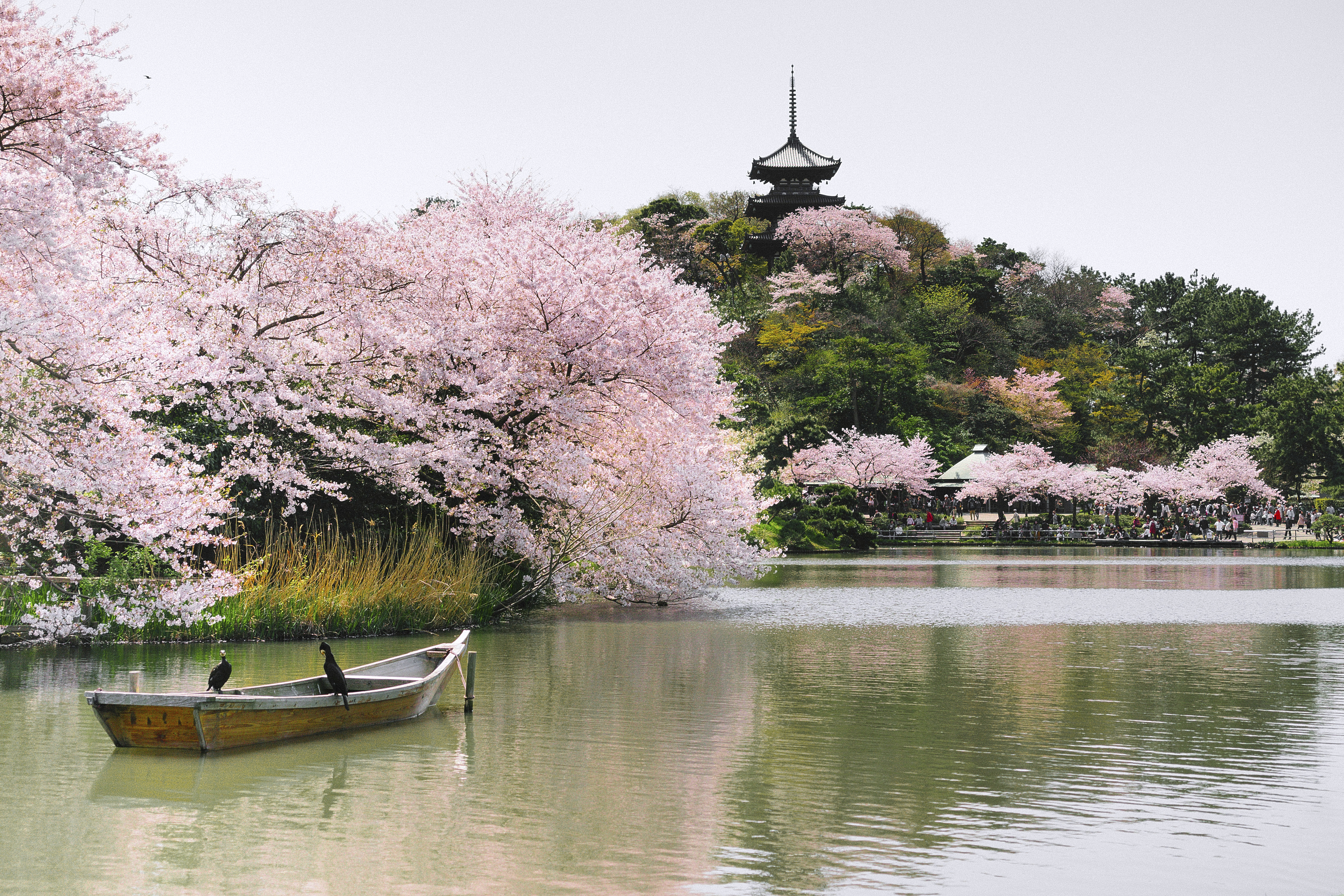 Best Views in Tokyo: 8 Observation Decks and Spots Revealed