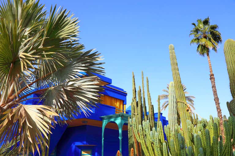Un edificio azul vibrante rodeado de palmeras y cactus bajo un cielo azul despejado.