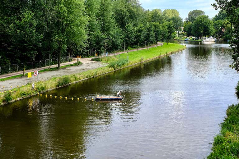 Spokojny Noorderpark z bujną zielenią i ścieżką spacerową w amsterdamskiej dzielnicy Noord.
