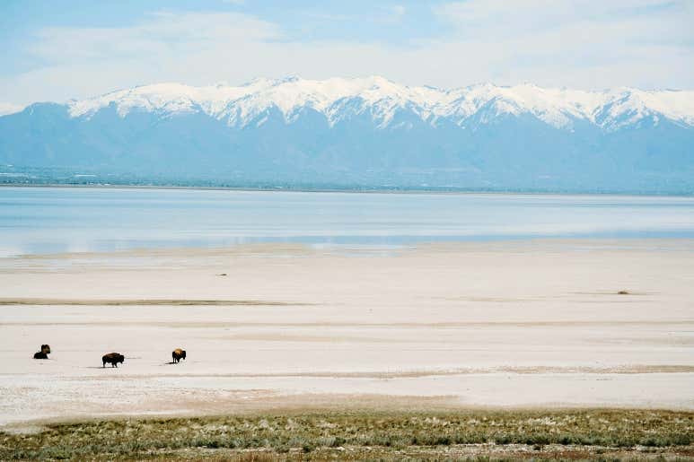 Summer in Utah: Top 10 Places and Activities