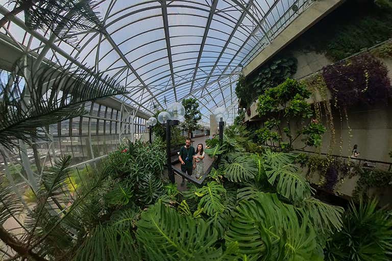C3 Barbican Conservatory-LOWRES.jpg