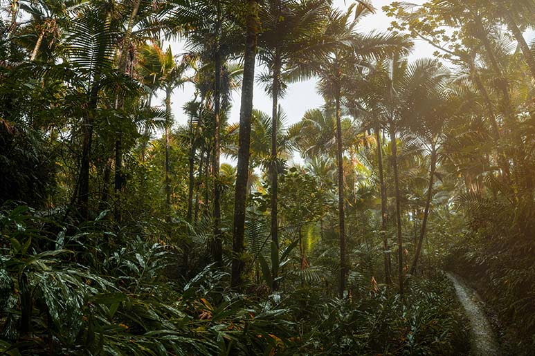 Puerto Rico in Winter: The Best Things To See and Do