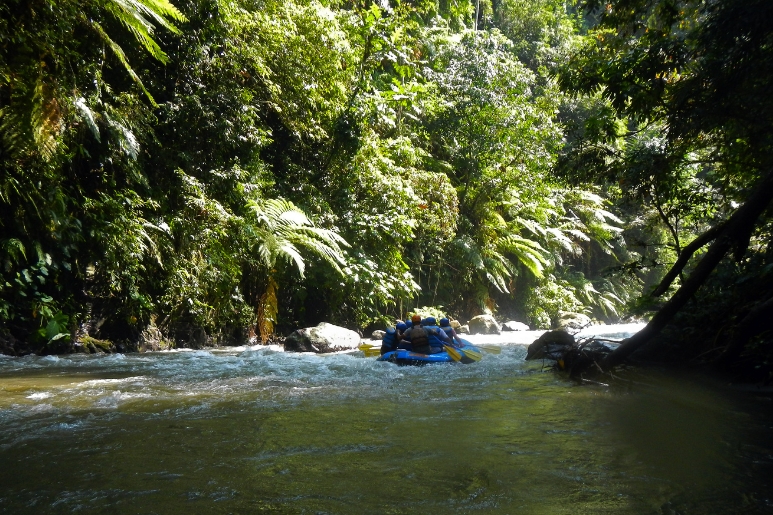 Rafting in Bali: 8 Thrilling Rivers for Adventure Seekers