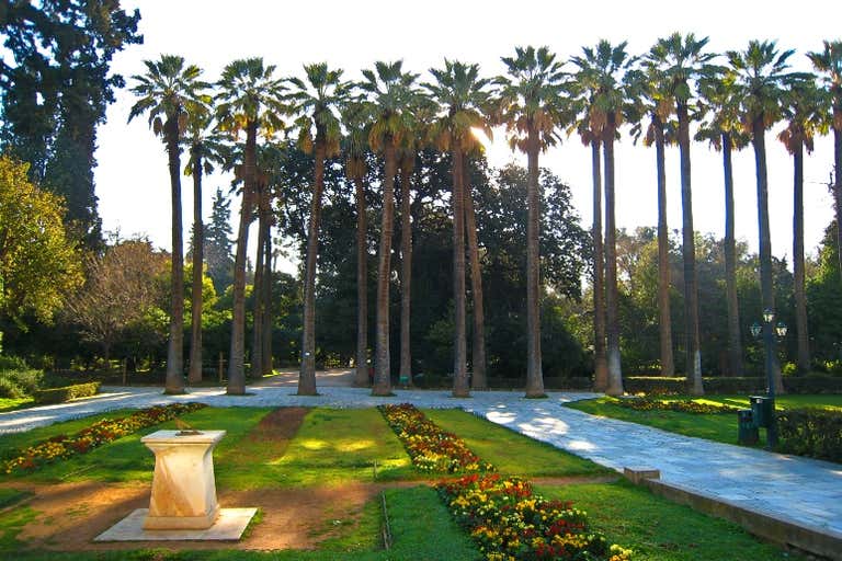 A row of tall palm trees in a garden with colorful flower beds.